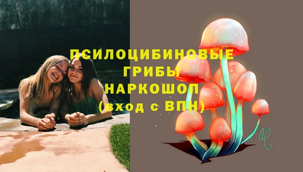 экстази Белокуриха