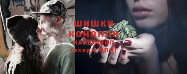 ПСИЛОЦИБИНОВЫЕ ГРИБЫ Балахна