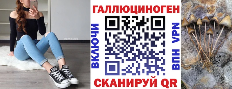 Галлюциногенные грибы Psilocybe  купить наркотик  Долгопрудный 