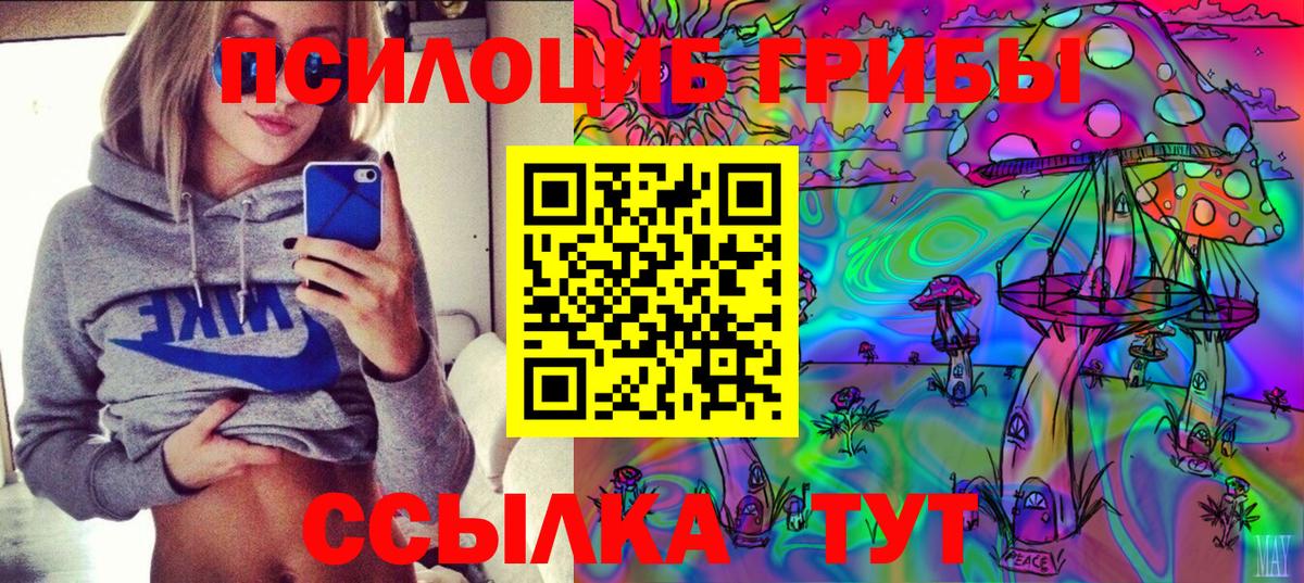 где купить   Псилоцибиновые грибы MAGIC MUSHROOMS  Вход с VPN  Долгопрудный 